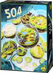 504 